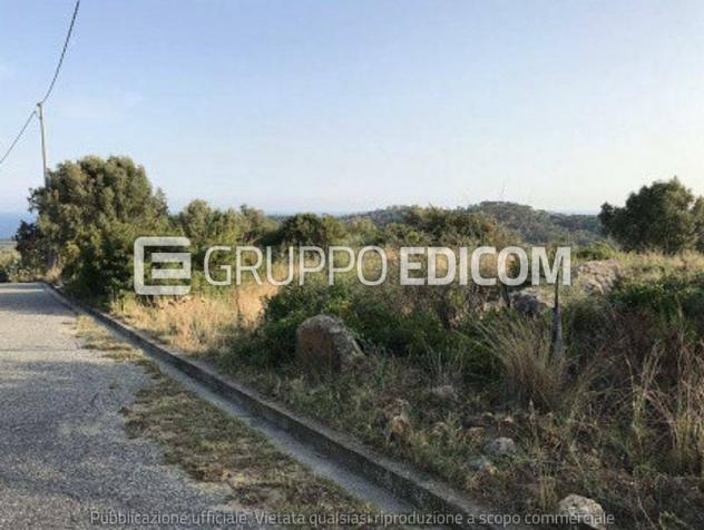 Terreno di 32550 mq in vendita a Ferruzzano - Rif. 4546625