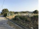 Terreno di 32550 mq  in vendita a Ferruzzano - Rif. 4546625