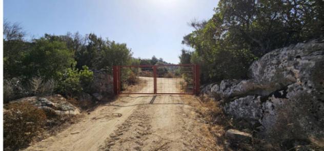 Immobile in asta di 102 m² in vendita a Olbia - Foto 4