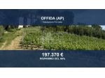 Immobile in asta di 70544 m² in vendita a Offida