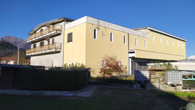 capannone con 2 alloggi con terreno edificabile - Foto 3