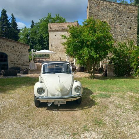 Noleggio Maggiolino Cabrio - Foto 5