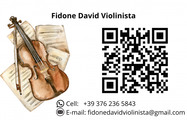 Violinista - Foto 4