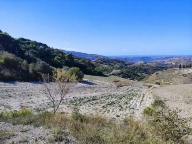 Immobile in asta di 23925 m² in vendita a Licodia Eubea - Foto 2