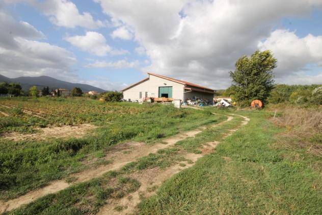 Capannone artigianale in vendita a Toringo - Capannori 400 mq Rif: 1074739 - Foto 4