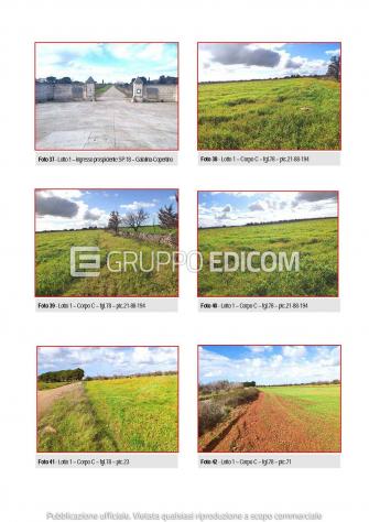 Fabbricati per attività agricole in vendita a Galatina - Rif. 4553054 - Foto 4