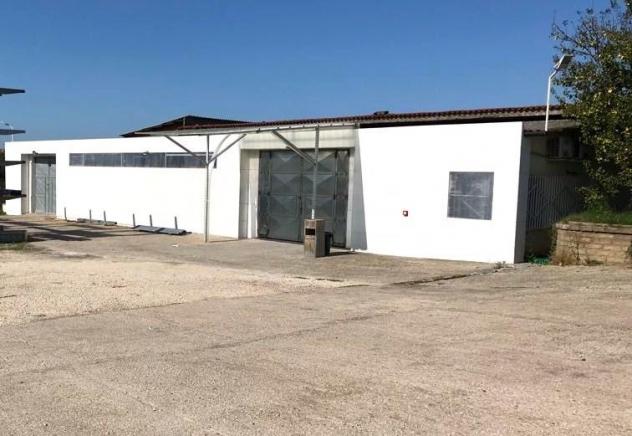 Compendio Immobiliare ad Alto Reddito con Capannone e Terreno