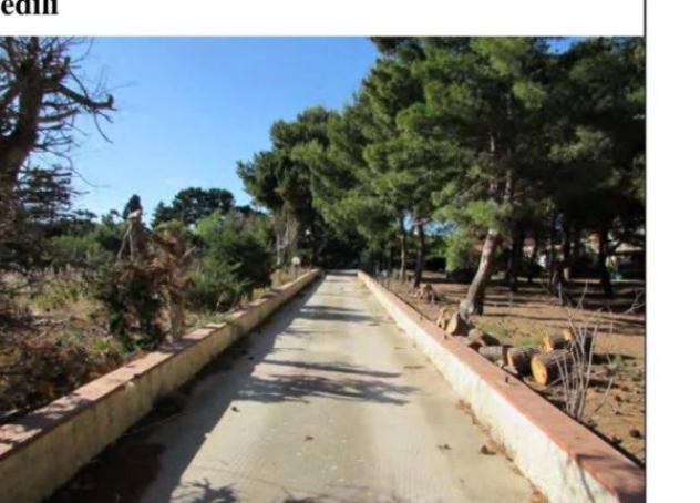 Immobile in asta di 210 m² con più di 5 locali in vendita a Marsala - Foto 3