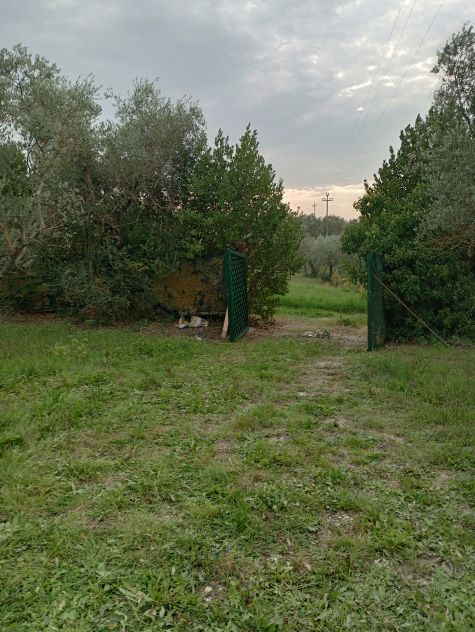 Terreno per agricoltura amatoriale nel Chianti - Foto 5