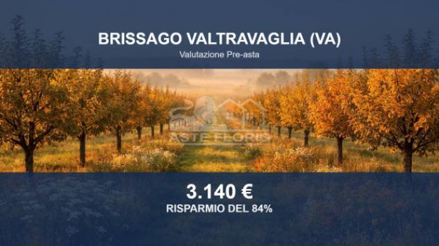 Immobile in asta di 11430 m² in vendita a Brissago-Valtravaglia
