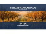 Immobile in asta di 11430 m² in vendita a Brissago-Valtravaglia