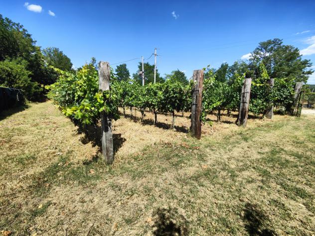 Agricolo in Via Guglielmo Oberdan - Foto 6