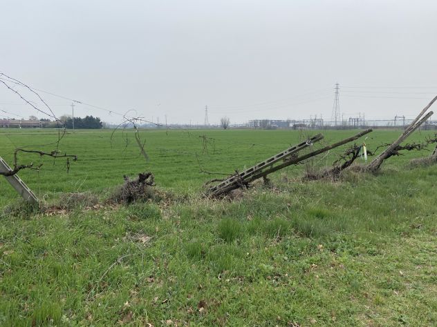 Rustico indip. da ristrut. cambio di destinazione e terreno a Baganzola - Foto 10