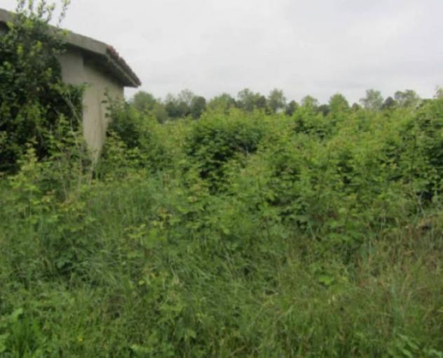 Immobile in asta di 39675 m² in vendita a Pesaro - Foto 8
