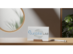 Sviluppo Siti Web Professionali