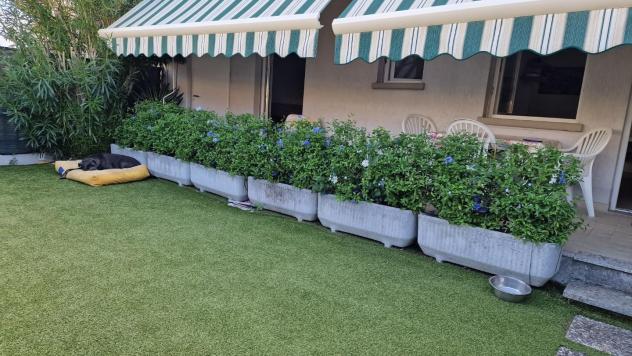 Appartamento in vendita a Marina di Carrara - Carrara 50 mq Rif: 1432515 - Foto 2