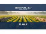 Immobile in asta di 9215 m² in vendita a Decimoputzu