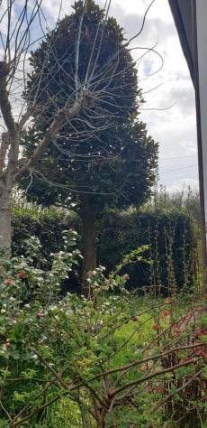 Villa in vendita a Pisa 300 mq Rif: 1068586 - Foto 5
