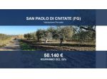 Immobile in asta di 19665 m² in vendita a San Paolo di Civitate