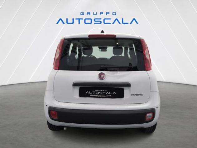 FIAT New Panda Pandina 1.0 FireFly 65 CV Hybrid Icon rif. 24157234 - Foto 4