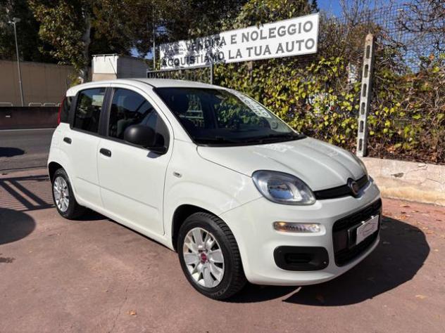 FIAT Panda 1.2 Easy NEOPATENTATI rif. 24199963