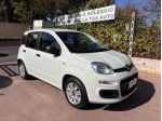 FIAT Panda 1.2 Easy NEOPATENTATI rif. 24199963