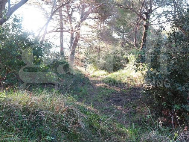 Rustico/Casale/Corte - Lerici . Rif.: 629VRG - Foto 14