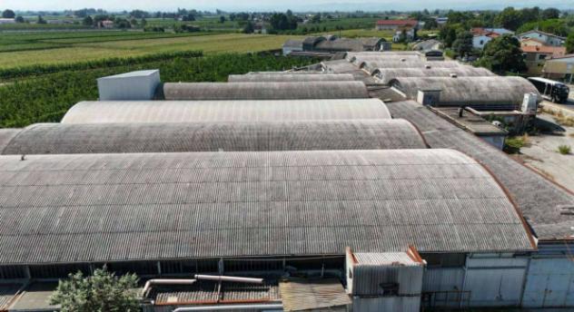 Immobile in asta di 8957 m² in vendita a Cotignola - Foto 3