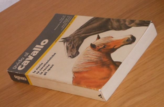 guida al cavallo, Maurizio Bongianni, ARNOLDO MONDADORI EDITORE 1984 - Foto 8