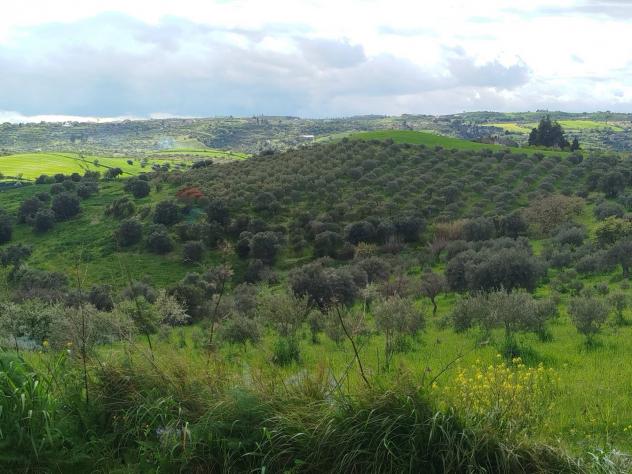 Terreno in vendita a Palazzolo Acreide - Foto 2