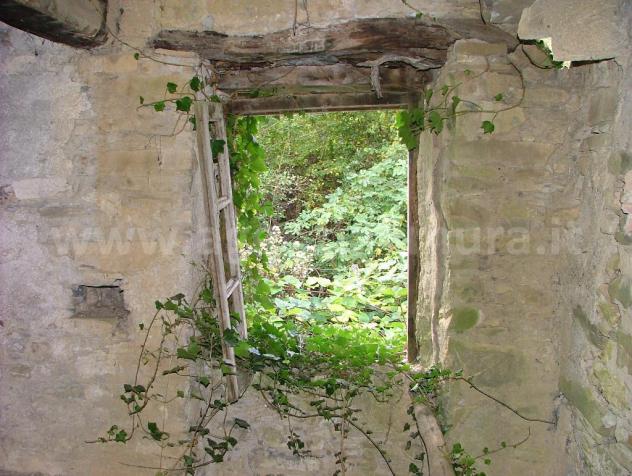 Rustico di frantoio ad acqua con giardino. - Foto 10
