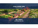 Immobile in asta di 43615 m² in vendita a Foglianise