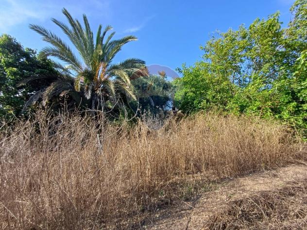 Terreno in vendita a Noto - Foto 4