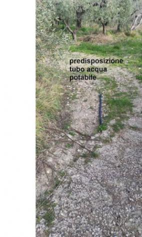 Immobile in asta di 9160 m² in vendita a Vasto - Foto 7