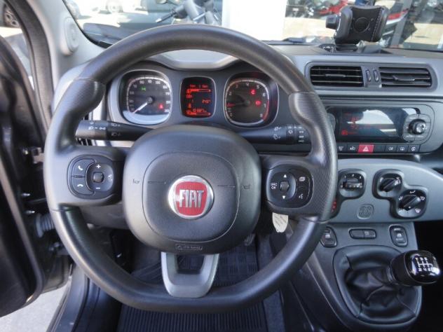 FIAT Panda 3ª serie Panda 1.0 FireFly S&S Hybrid City Life - Foto 7