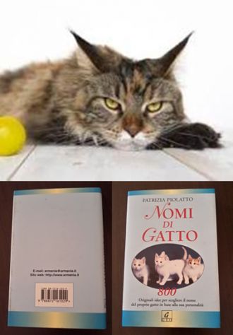 NOMI DI GATTO, PATRIZIA PIOLATTO, Sentieri / Geo 2003.