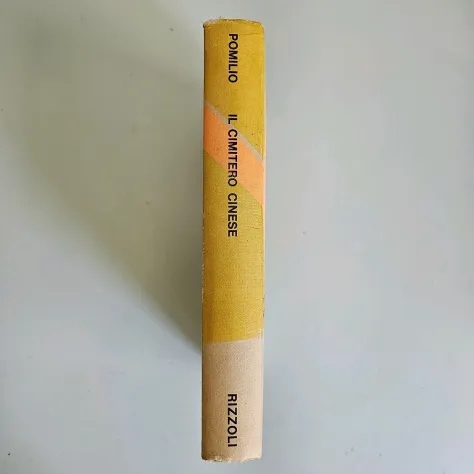 Il Cimitero Cinese - Romanzo di Mario Pomilio - Rizzoli - 1969 - Foto 3