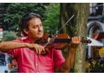 Violinista professionista a Caronno Pertusella