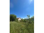 CASALE