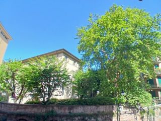 Pentalocale in affitto a Torino