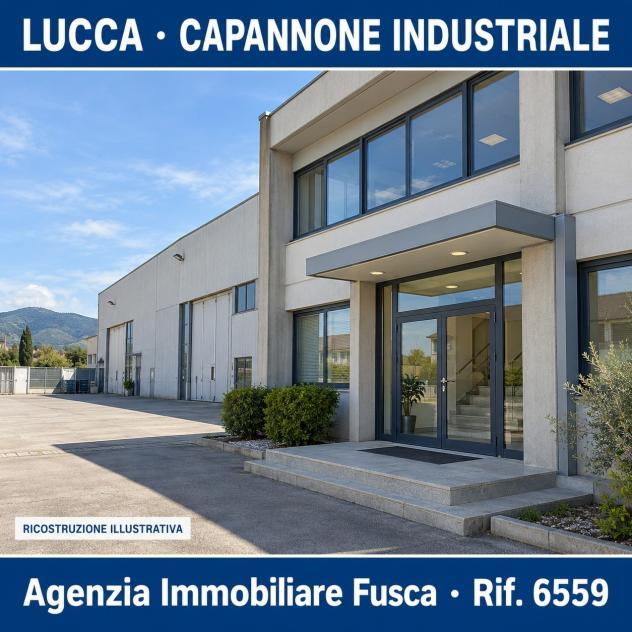 Industriale/Artigianale in vendita a Lucca - Foto 8