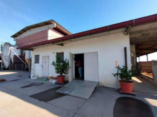 Immobile in asta di 311 m² con più di 5 locali in vendita a Sant'Albano Stura - Foto 4