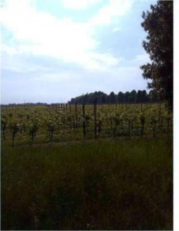 Immobile in asta di 11048 m² in vendita a Caneva - Foto 13
