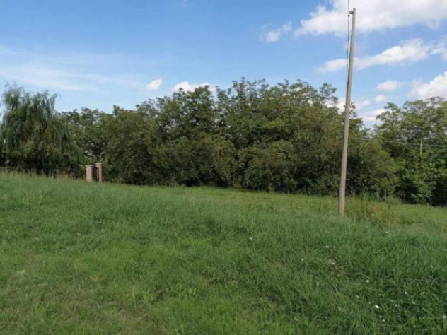 Immobile in asta di 673 m² in vendita a Colledara - Foto 5
