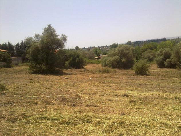 Seminativo in vendita a Siracusa - Foto 4