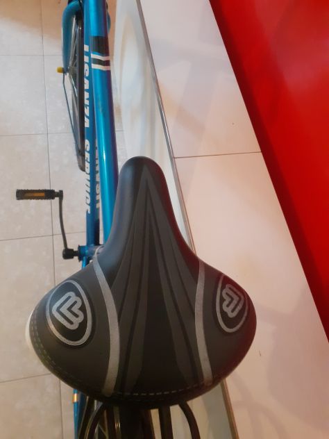 Bicicletta - Foto 2