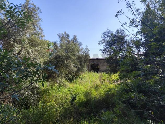 Terreno in vendita a Siracusa, Elorina - Foto 3