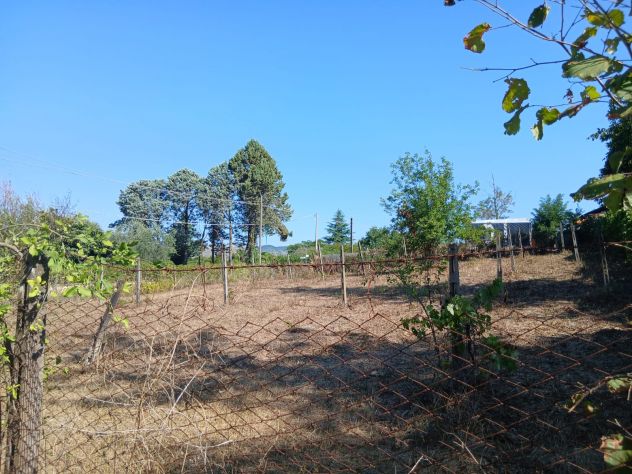 Terreno Agricolo 3000mq Arci (Tivoli) - Foto 6