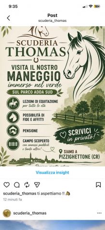 Pensione cavalli e lezioni d'equitazione - Foto 3