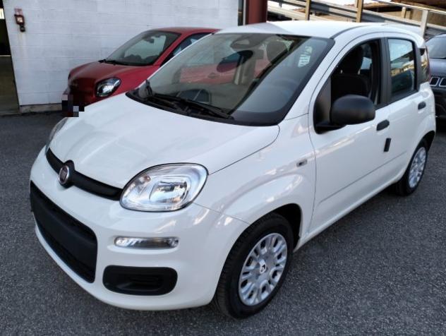 FIAT Pandina 1.0 FireFly S&S Hybrid rif. 23182868